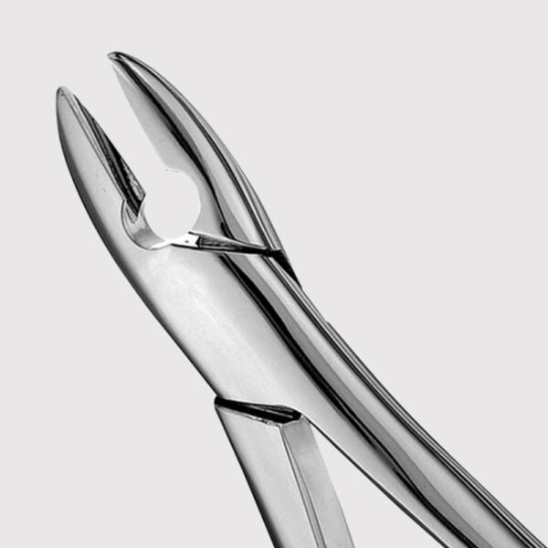1 Upper Anterior Forceps