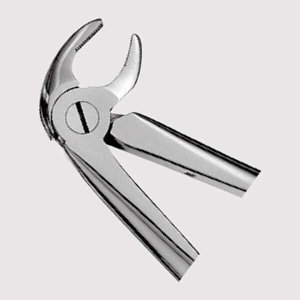 13 - Lower Premolars Forceps