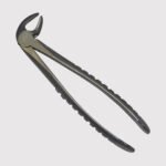 13 Lower Premolars Forceps