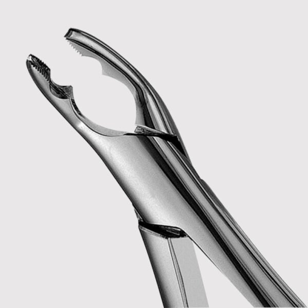 150AS Pedo Upper bicuspids, incisors & roots Forceps