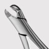 17 Lower Molar Forceps
