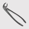 22 Lower Molars Forceps