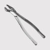 53L Upper Molar Forceps