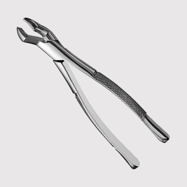 53L Upper Molar Forceps