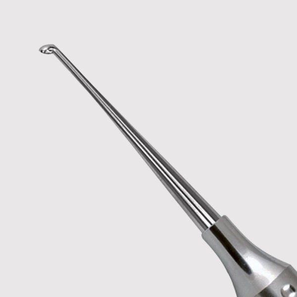 Cleoid Discoid Carver 2