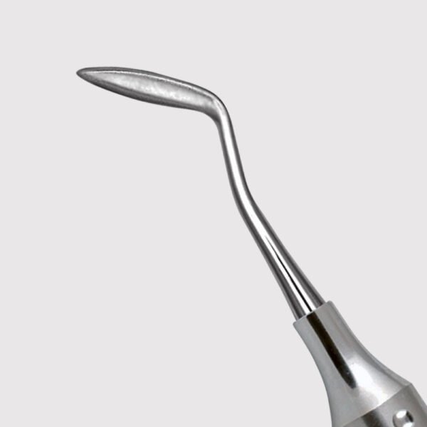 Hollenback Carver 3