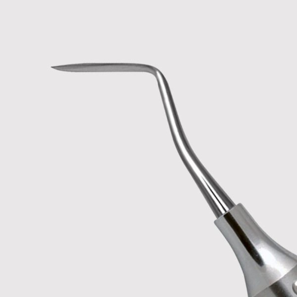 Hollenback Carver 3