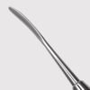 Ladmore/Beavertail Burnisher 2