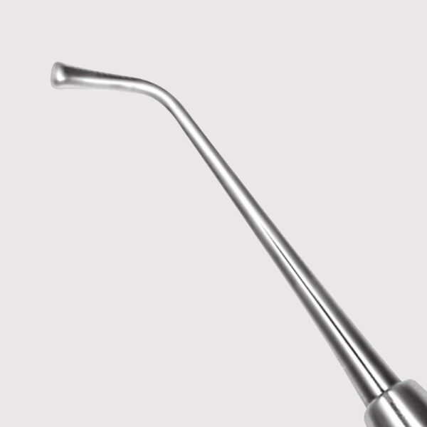 Ladmore Burnisher 3