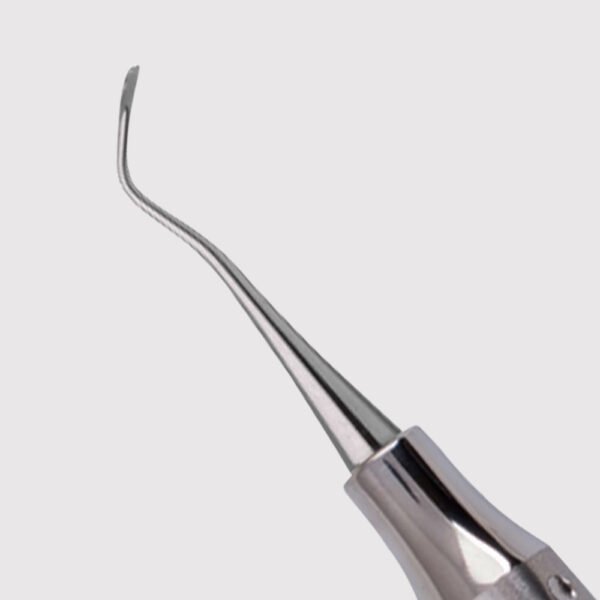 Nevi 1 Anterior
