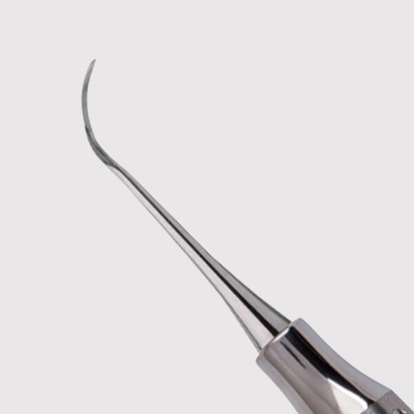 Nevi 3 Posterior