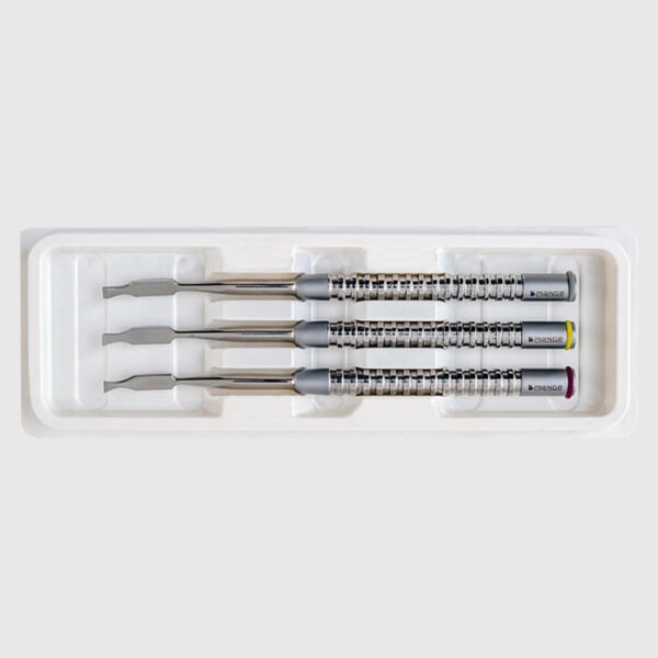 Set of 3 Ochsenbein Chisels