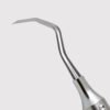 Tanner 6 Carving Knife