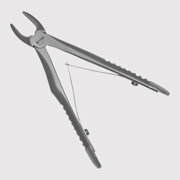 Upper Incisors