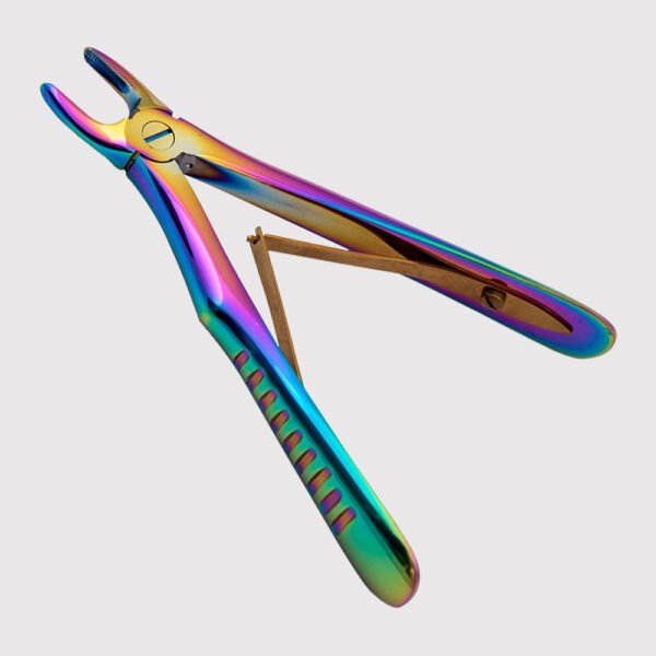 Upper Incisors