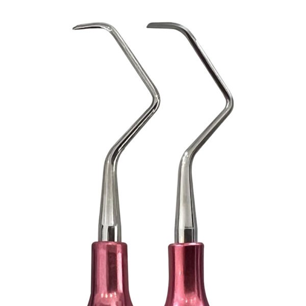 Gracey Curette Set