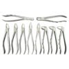 Extraction Forceps Set